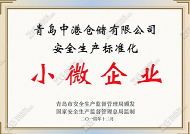 Small and micro enterprises