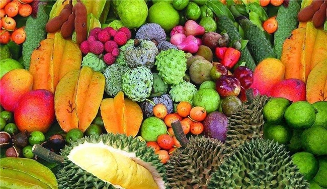 Friends! Have you ever wondered why your longed-for Thai durian is always later than the courier's promise? Don't blame the durian, just blame the customs clearance is too turtle speed! But today - the China-Thailand AEO Mutual Recognition Agreement is here! From now on, customs clearance is faster than your hand speed to grab a red packet! Up to now, China and Singapore, the European Union, South Africa and other 31 economies signed AEO mutual recognition agreement, covering 57 countries (regions), including the construction of a “Belt and Road” countries increased to 38, the number of mutual recognition agreement signed and the number of mutual recognition of countries (regions) ranked the world's “double first! The number of mutual recognition agreements signed and the number of mutual recognition countries (regions) ranked “double first” in the world.  The signing of China-Thailand AEO Mutual Recognition Arrangement marks a key step in trade facilitation between China and Thailand. Commodities such as electronic appliances, textiles and garments exported by Chinese AEO enterprises will have smoother customs clearance in Thailand, while Thai fruits, rice, rubber and other specialty products will also enter the Chinese market more conveniently, enriching the choices of consumers in both countries. How to get on this 'high-speed train'? Chengye Logistics, an AEO Advanced Certified Enterprise! We are the 'VIP center P' in the customs clearance world! Electronic customs declaration, priority inspection, preferential tax rate ...... your goods, we protect! Quickly poke the contact information below, together when the 'Belt and Road' tide!