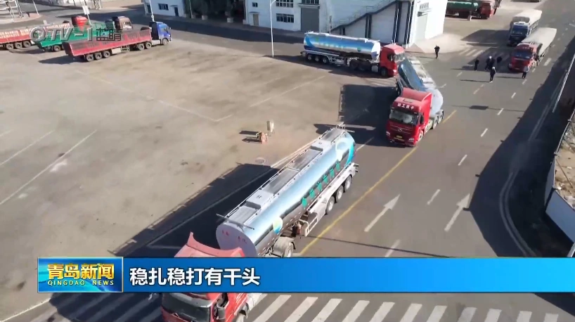 Bohai Chengye edible oil transportation platform sincerely invites partners to create a new pattern of oil transportation!