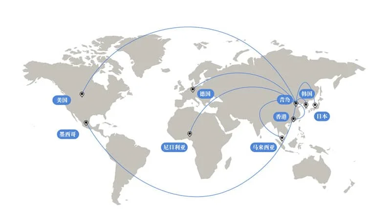 How to reduce costs and increase efficiency in re-export logistics? Unlock the core advantages of Chengye Logistics to make global trade simpler!