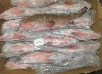 Frozen food import customs clearance process