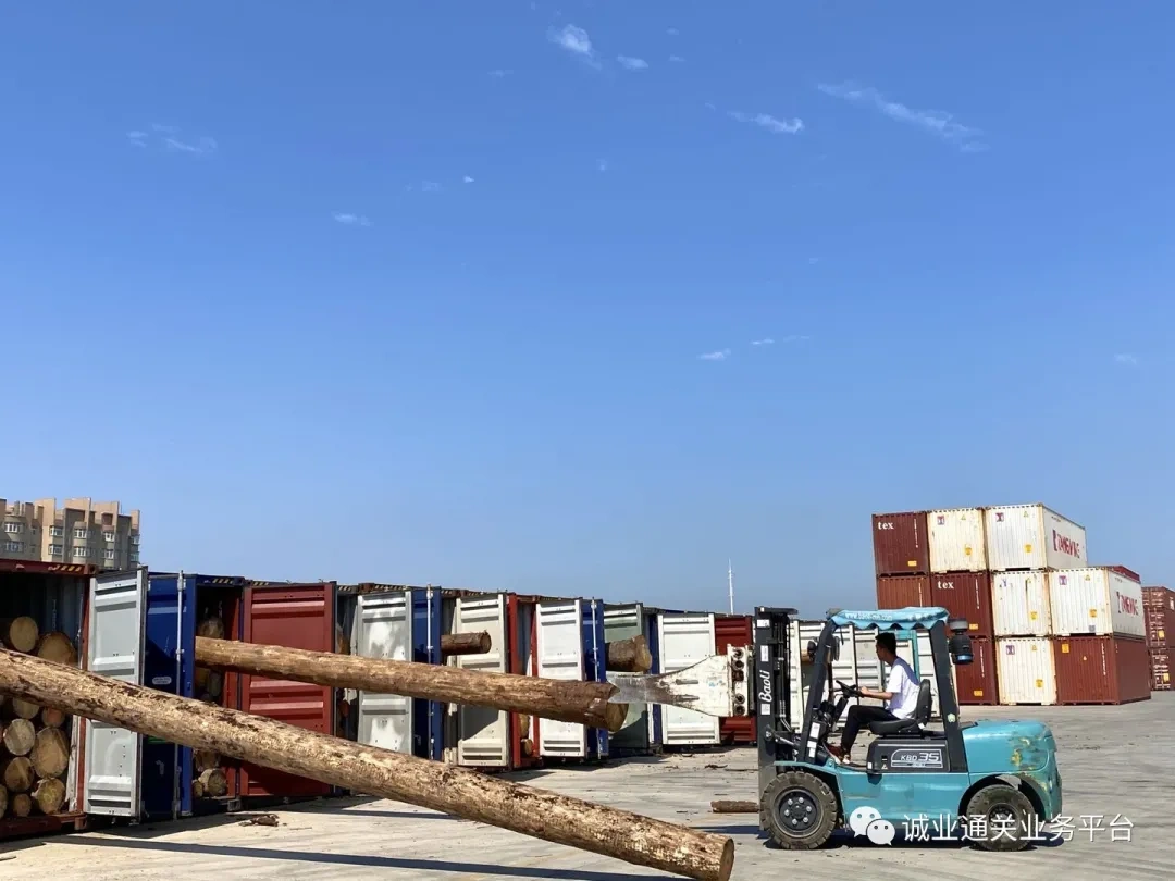 Raw Wood Import Quarantine Projects