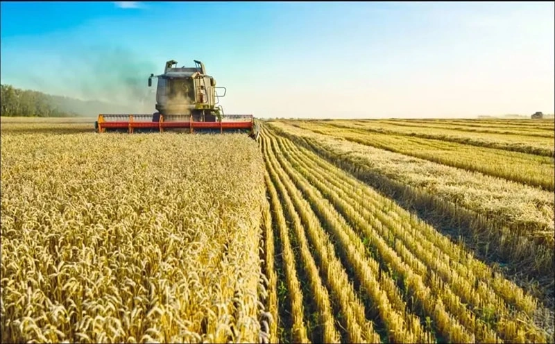 二、Announcement on Requirements for Overseas Enterprises to Declare Imported Agricultural Products