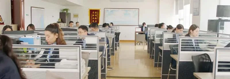 Business Areas—Customs Clearance Services