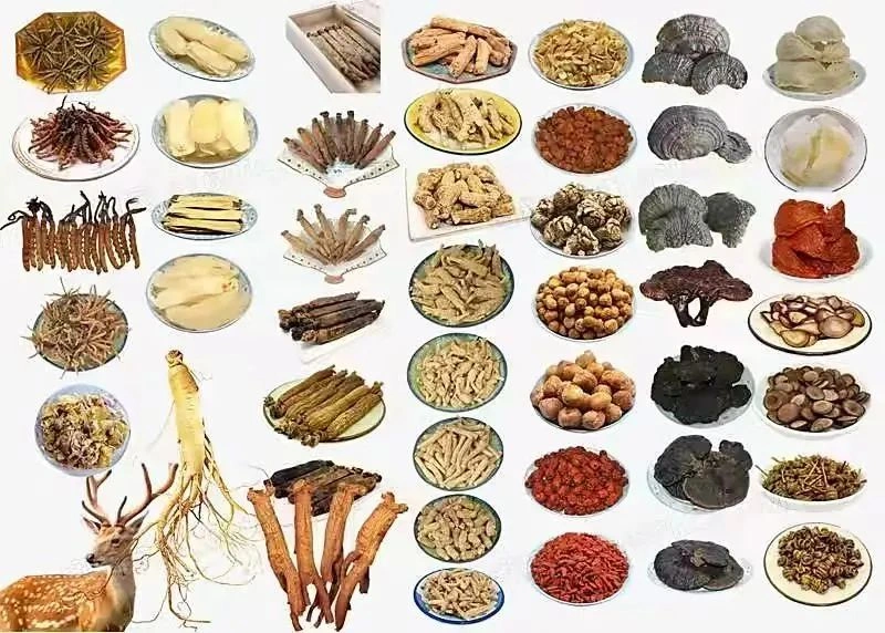 Key Points of the New 2026 Policies for Imported Chinese Medicinal Materials