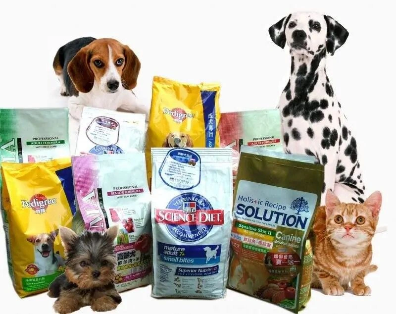 Complete Guide to Customs Clearance for Imported Pet Food
