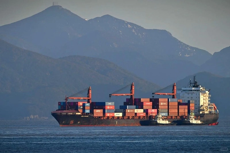 With foreign trade policy dividends continuously unleashed and market vitality steadily rising