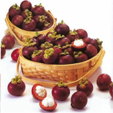 Bonded Warehousing for Imported Mangosteen