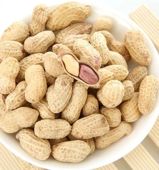 Full-service Import Solution for Nigerian Peanut Kernels