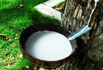 Malaysia Import Solution for Imported Natural Rubber